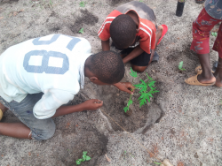 Kinderen leren planten